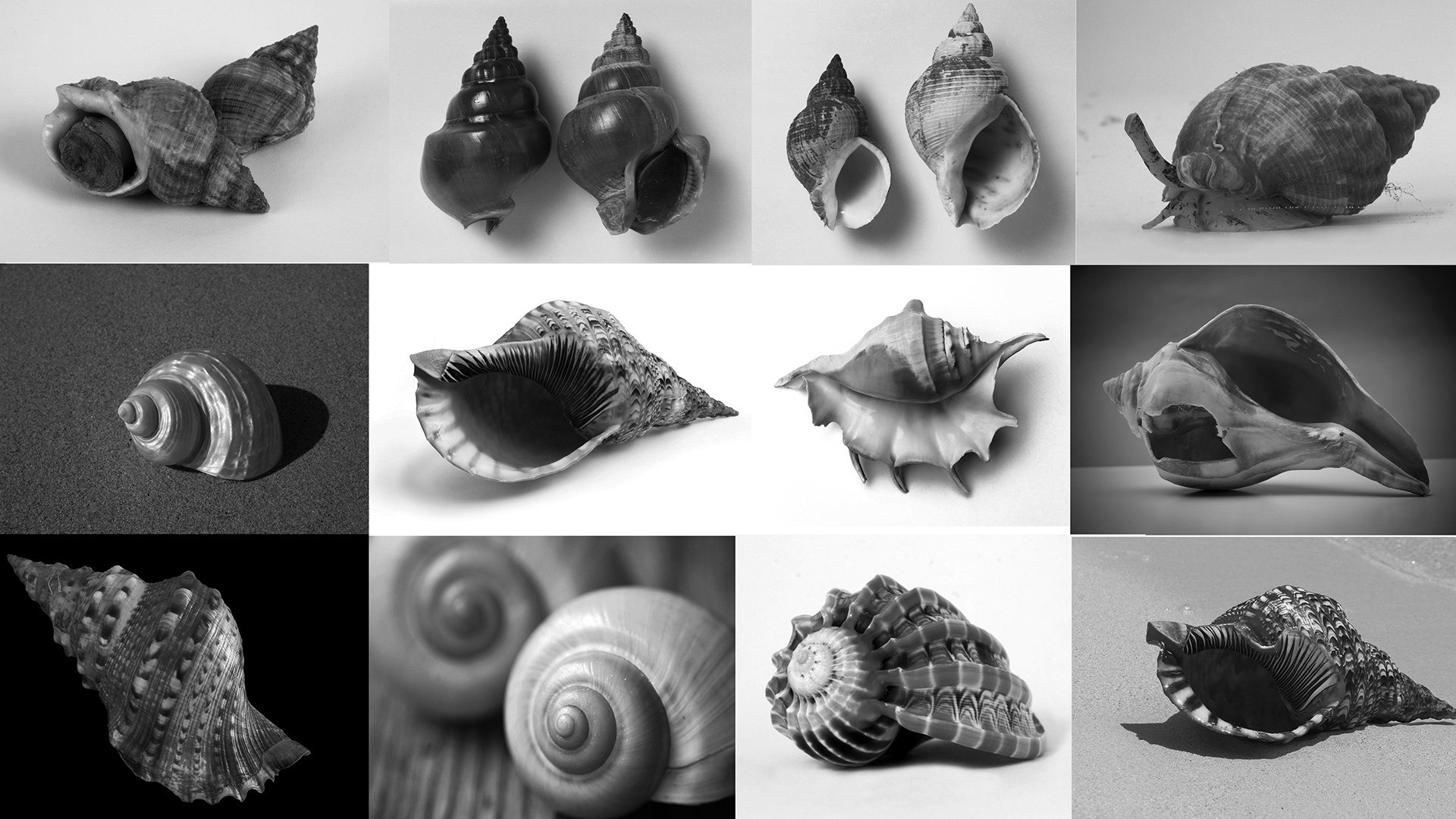 In ear，hifi，headset，snail，