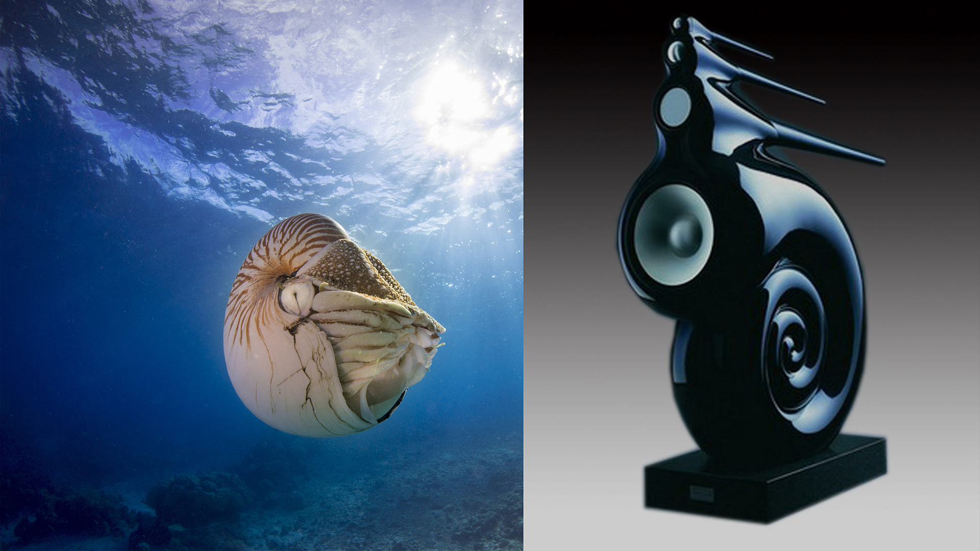 In ear，hifi，headset，snail，