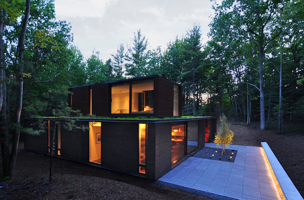 forest，Jungle cabin，log cabin，