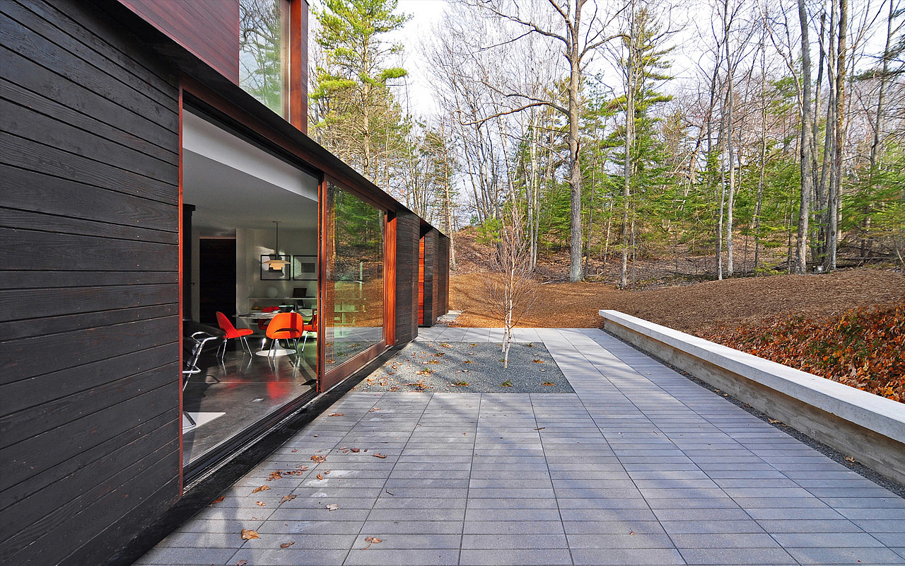 forest，Jungle cabin，log cabin，