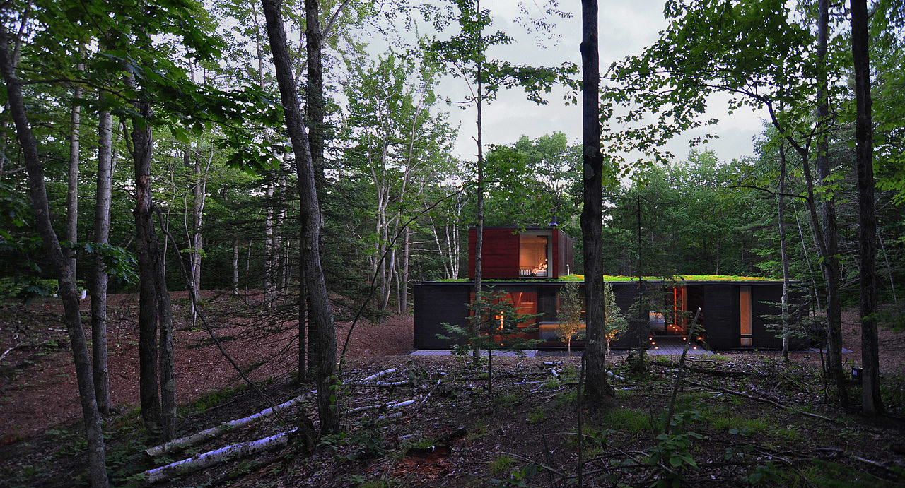 forest，Jungle cabin，log cabin，