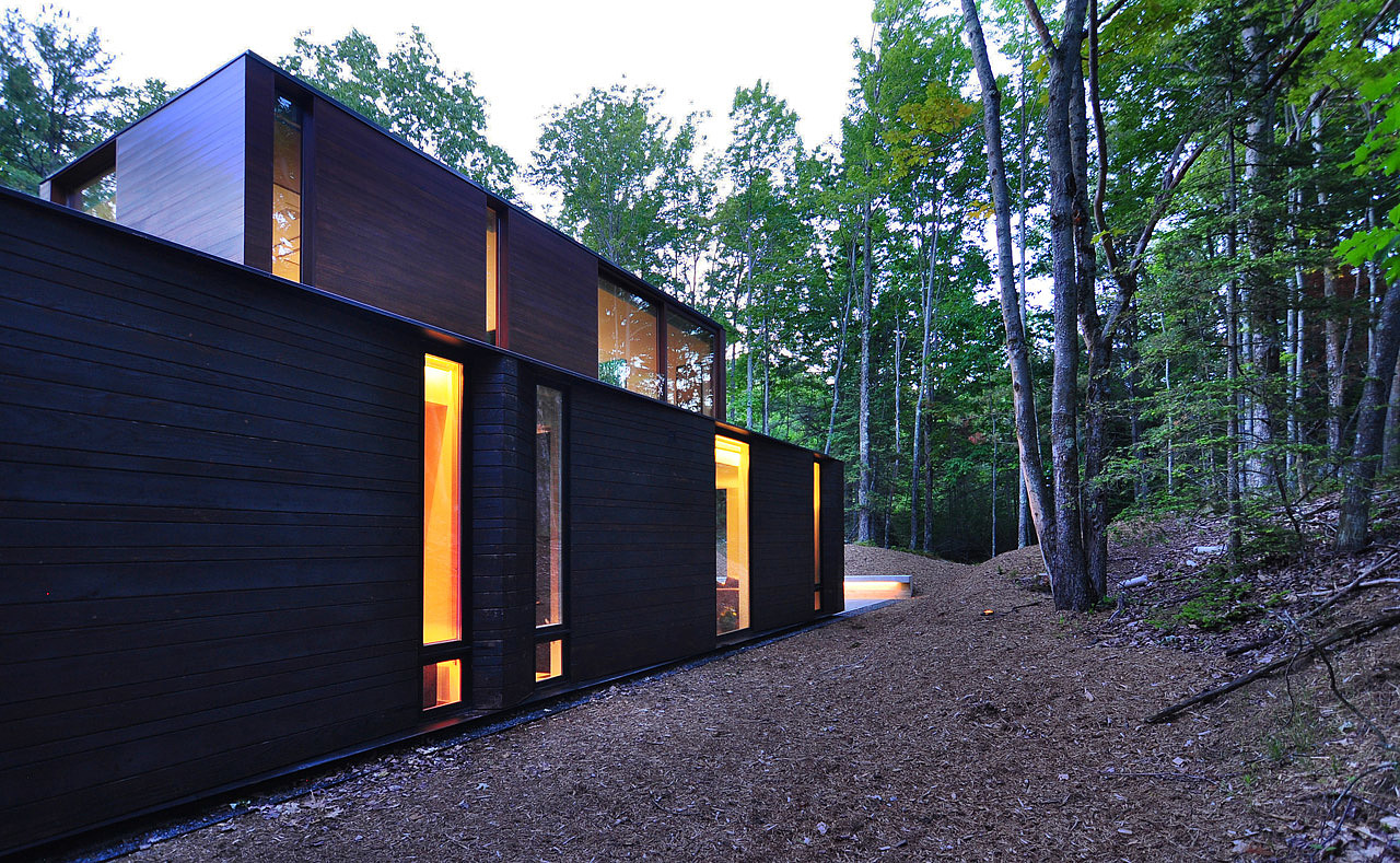 forest，Jungle cabin，log cabin，