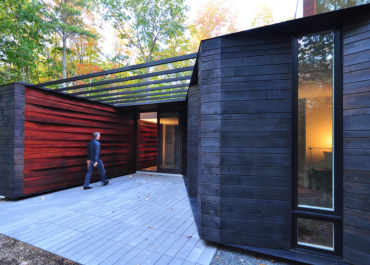 forest，Jungle cabin，log cabin，