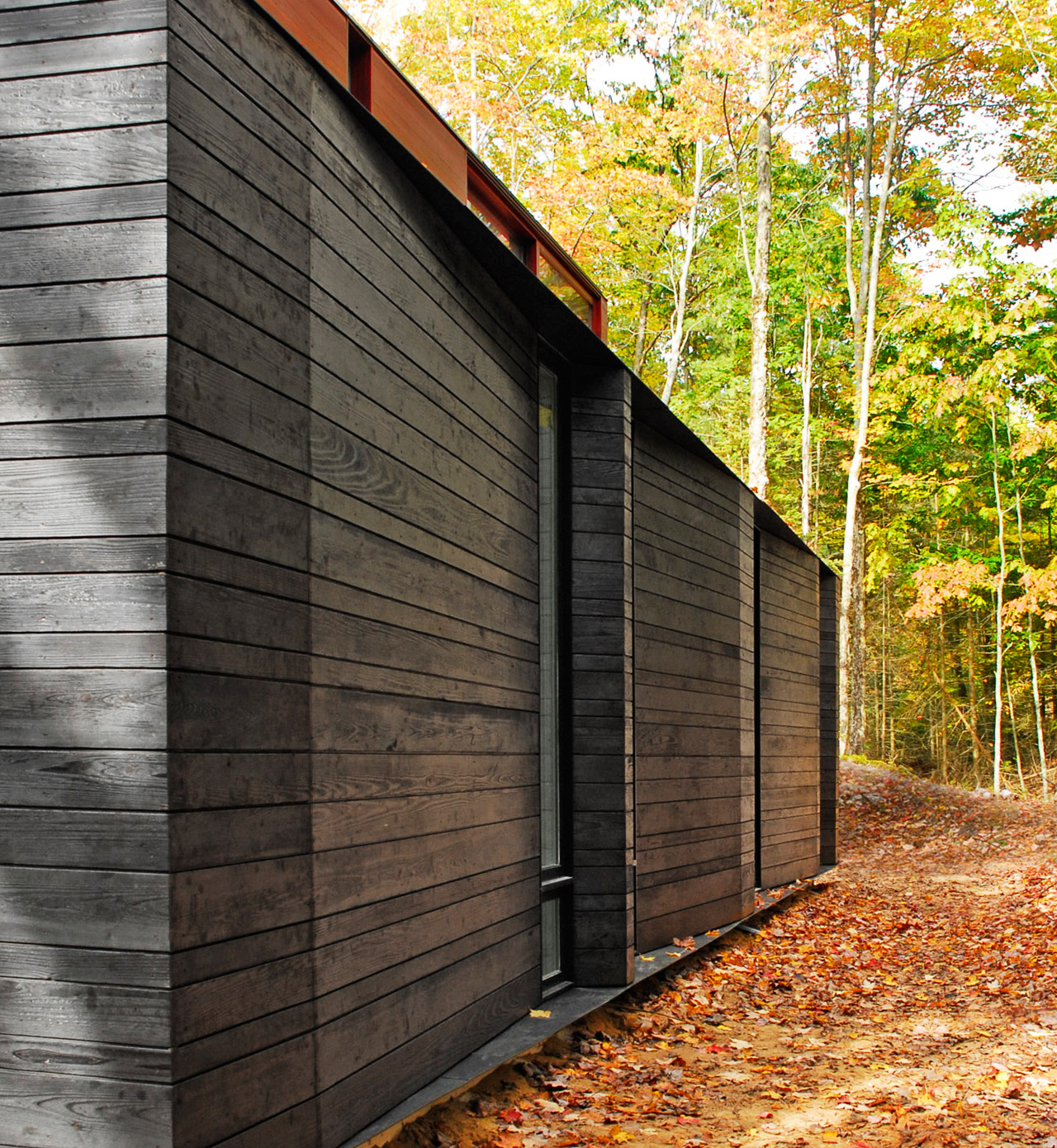 forest，Jungle cabin，log cabin，