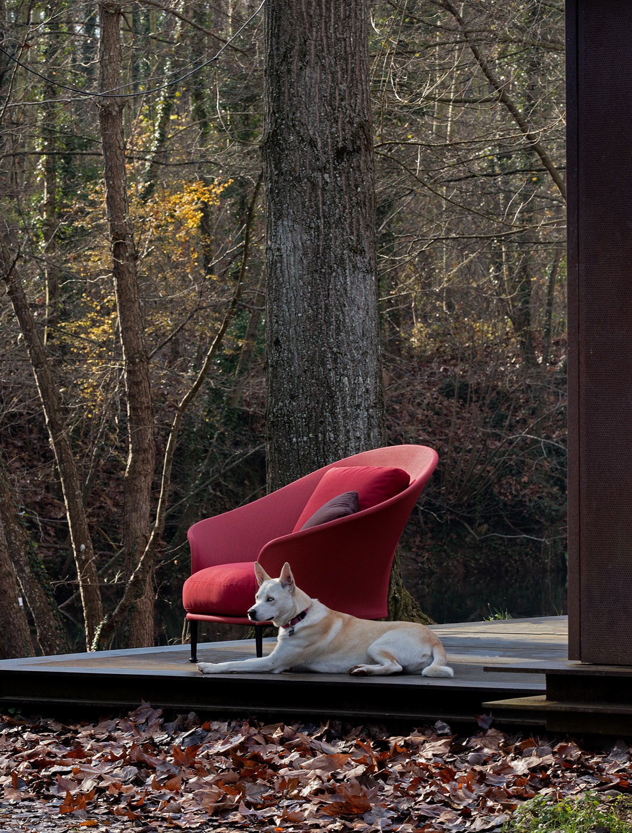 Furniture home，outdoors，50‘s，Modern design，