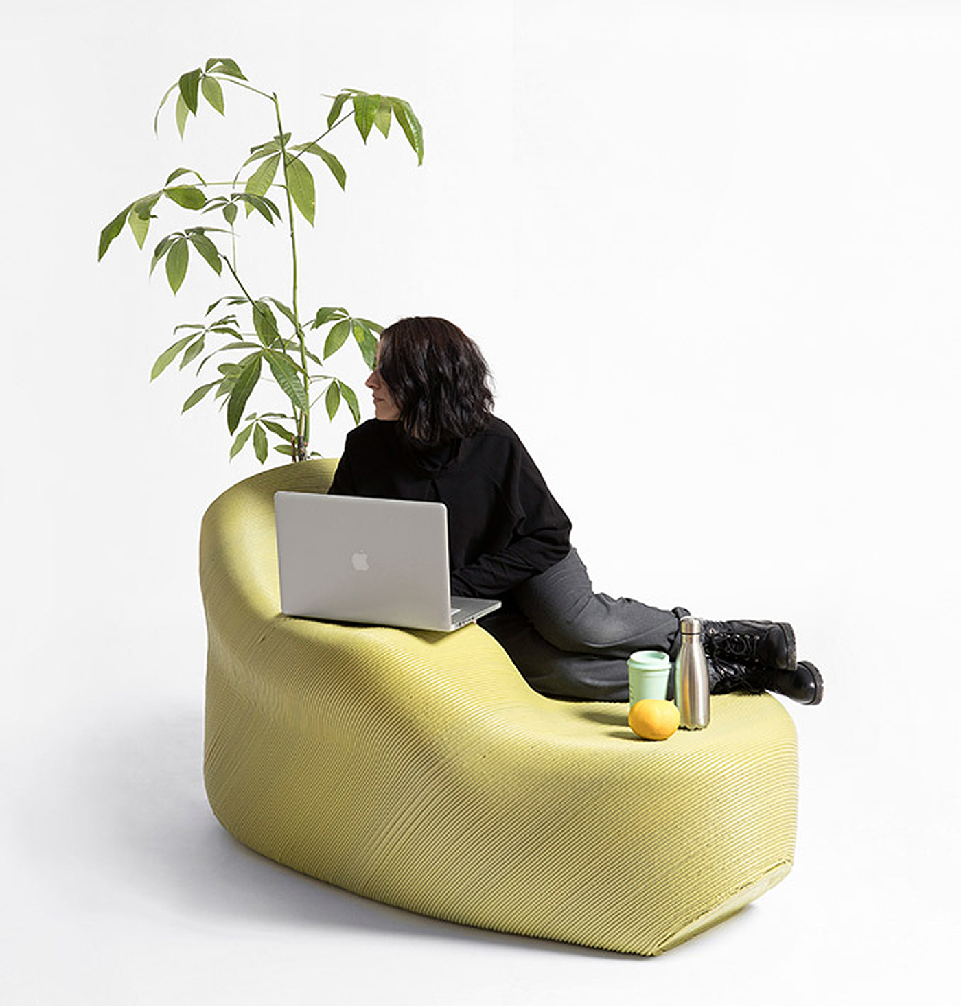 chair，Botany，3D printing，environment protection，