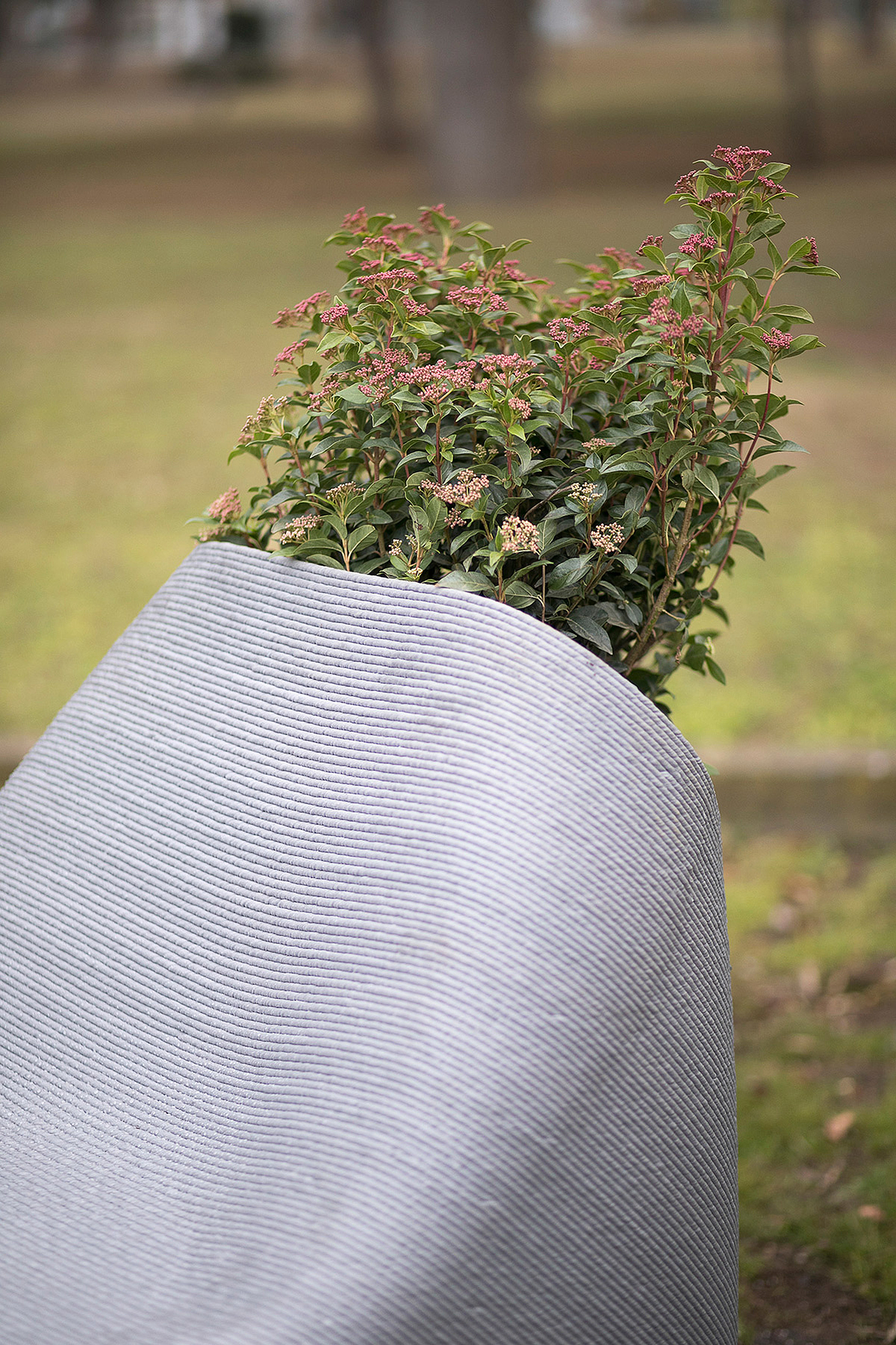 chair，Botany，3D printing，environment protection，