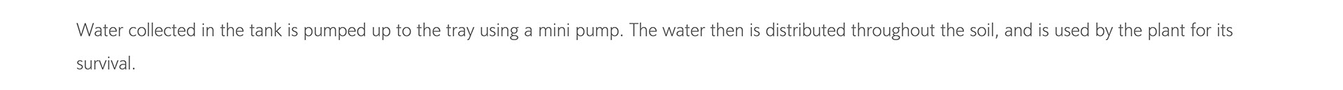 white，Implant，Fern，