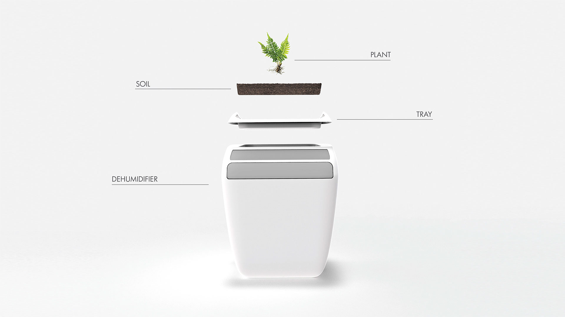 white，Implant，Fern，