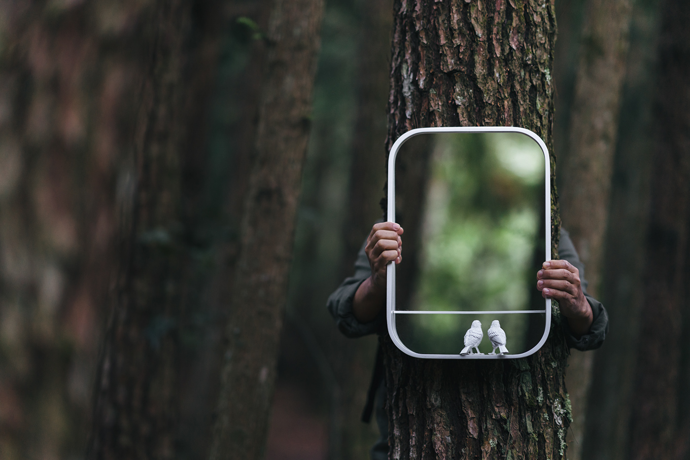 sparrow，mirror，haoshi design，