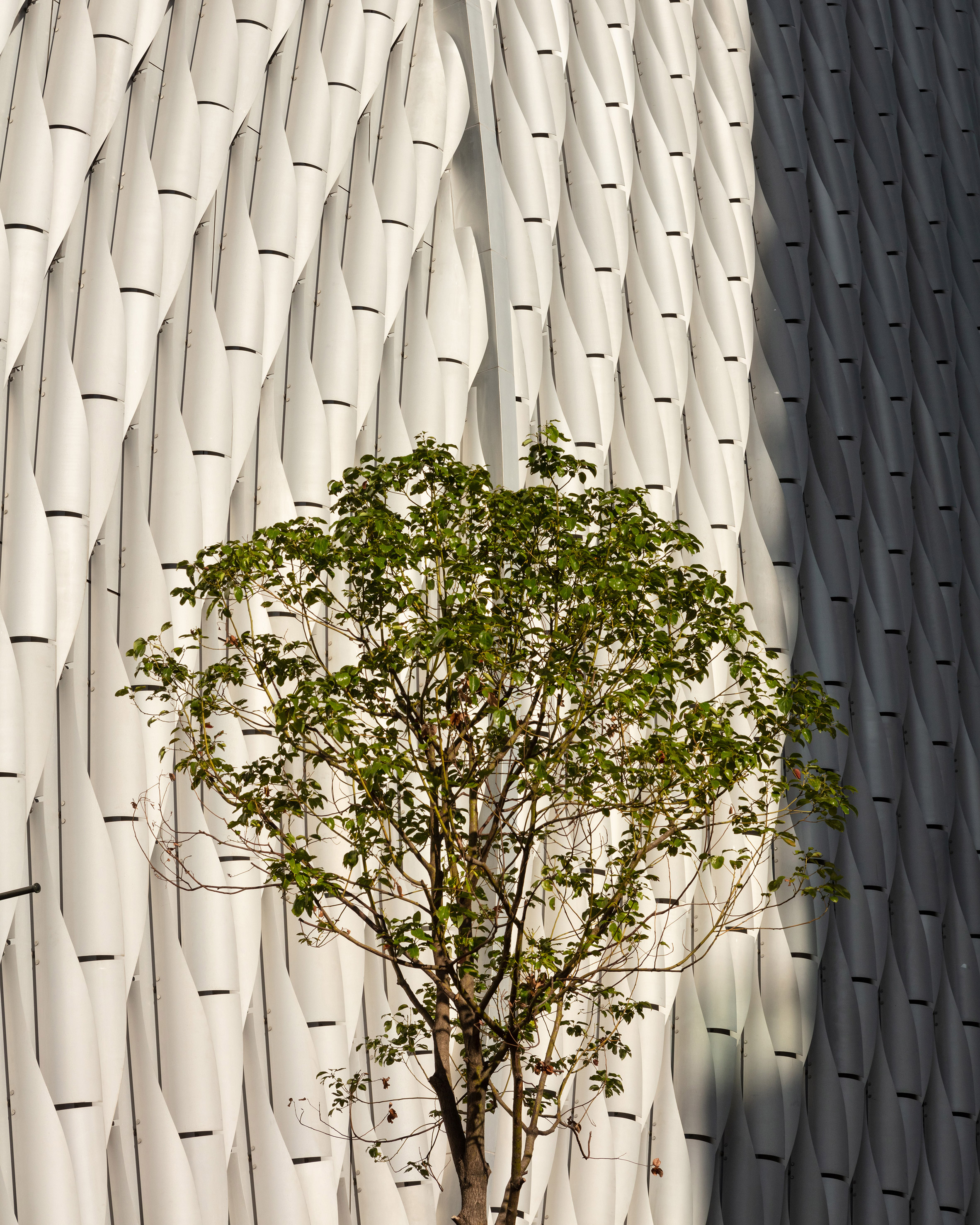 Aluminium，opera house，Revery Architecture，Hong Kong，Opera Center，