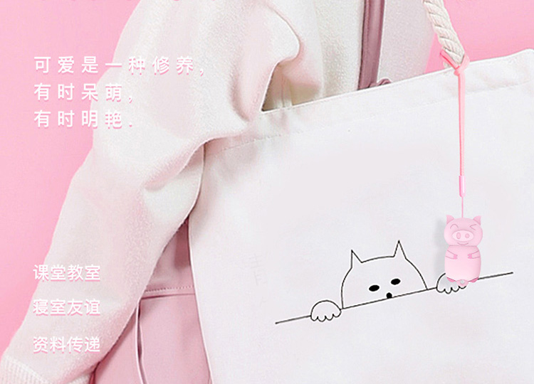 Year of the pig，USB drive，lovely，the Chinese zodiac，two thousand and nineteen，girl student，Pink，Little pig，