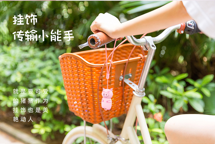 Year of the pig，USB drive，lovely，the Chinese zodiac，two thousand and nineteen，girl student，Pink，Little pig，