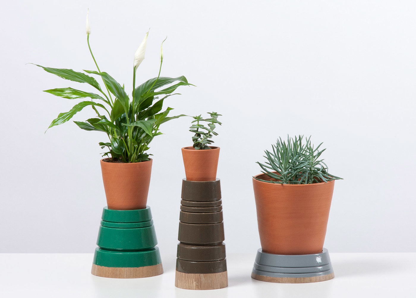 Green plant，Soft outfit，industrial design，product design，fresh，