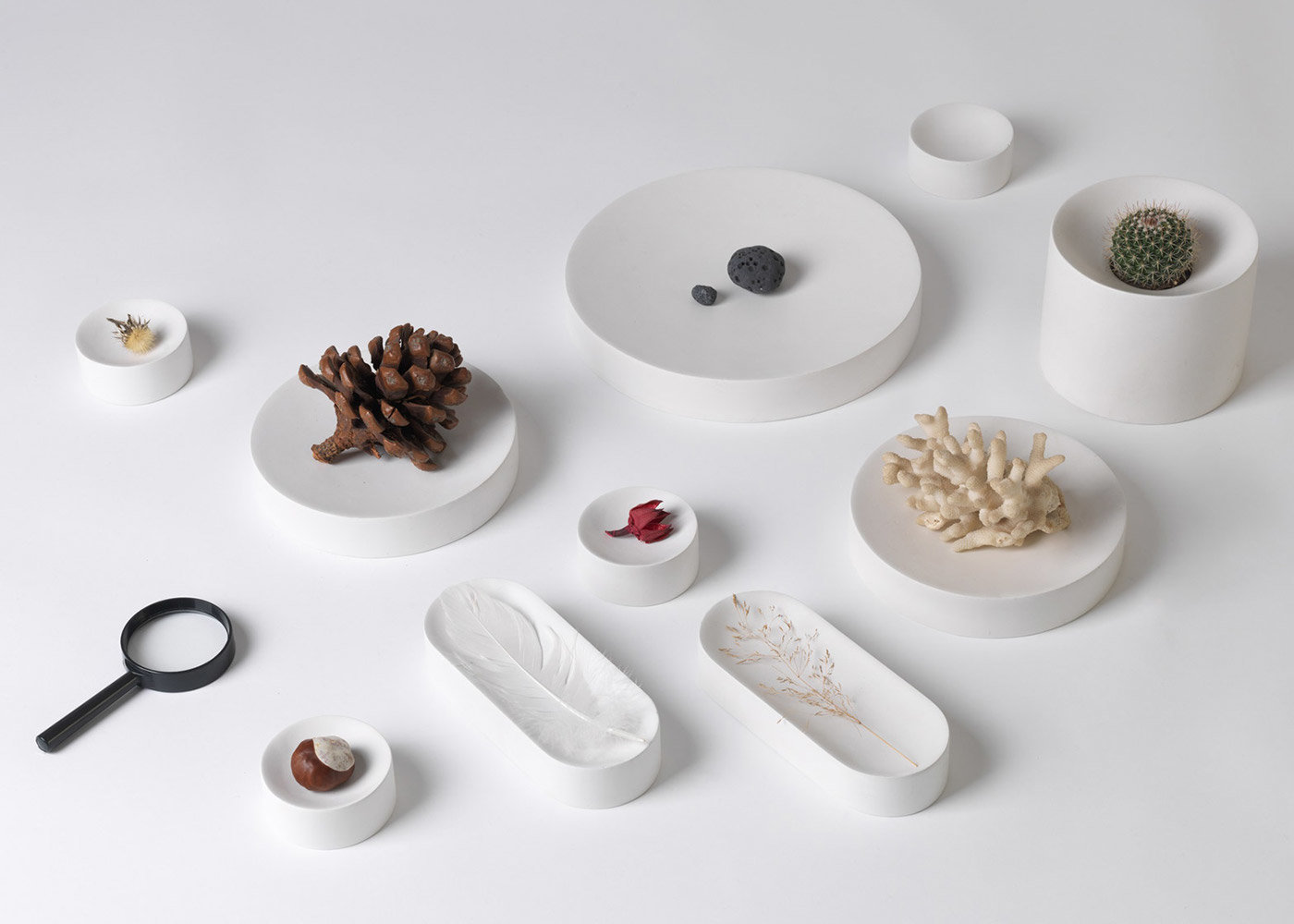 Green plant，Soft outfit，industrial design，product design，fresh，