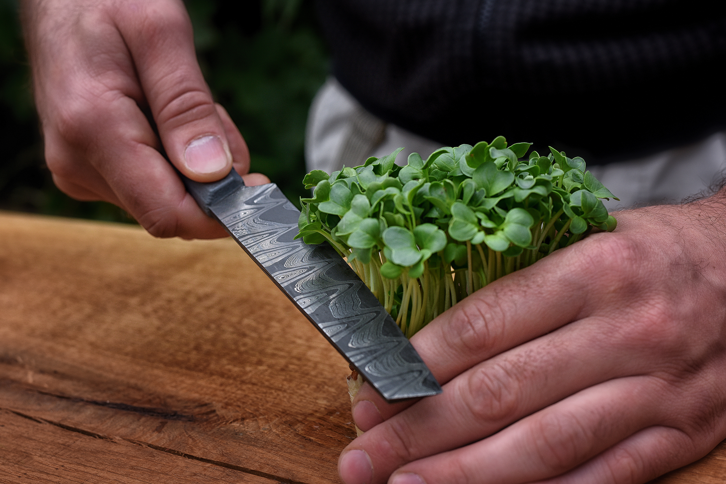 knife，Damascus blade，concrete，