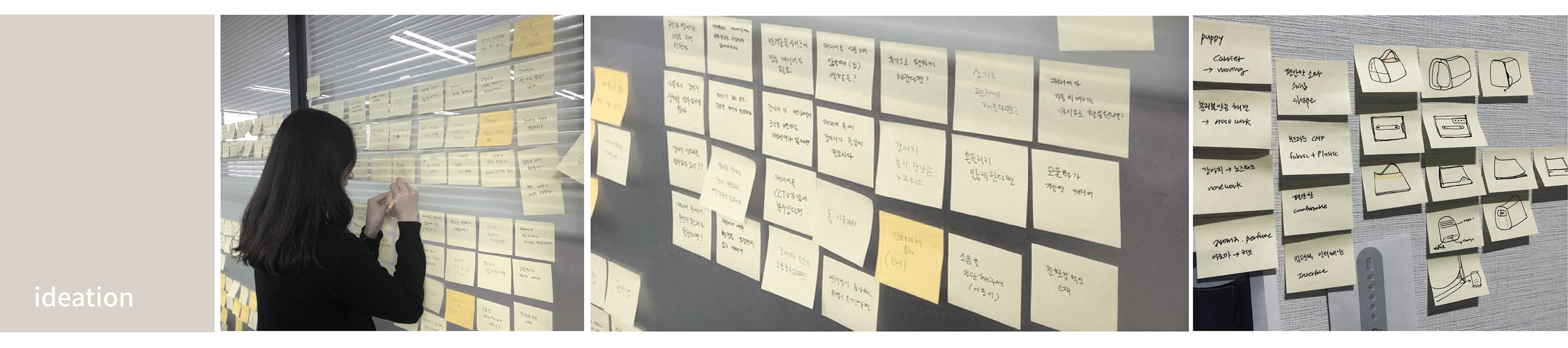 Satchel，Dog，travel，