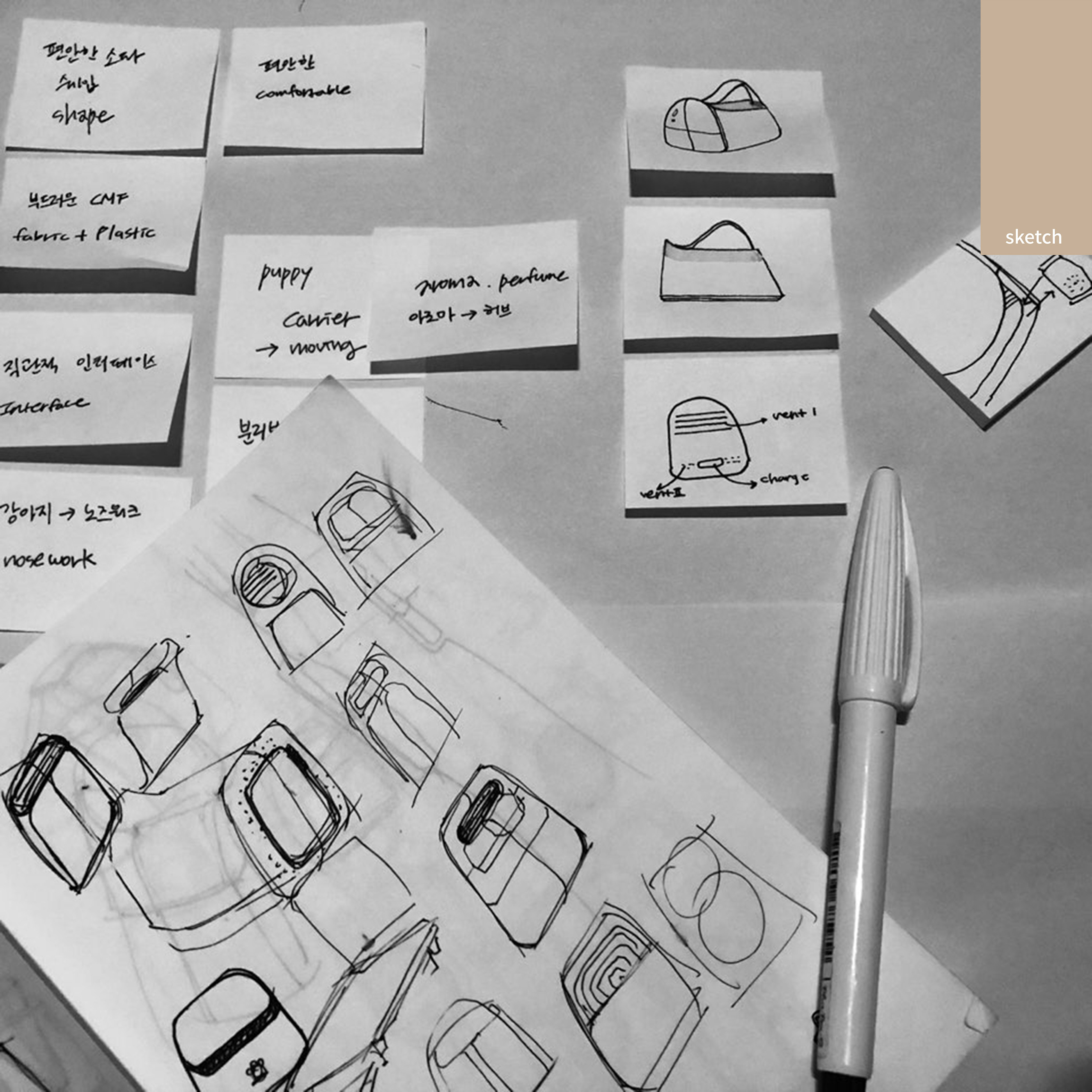 Satchel，Dog，travel，