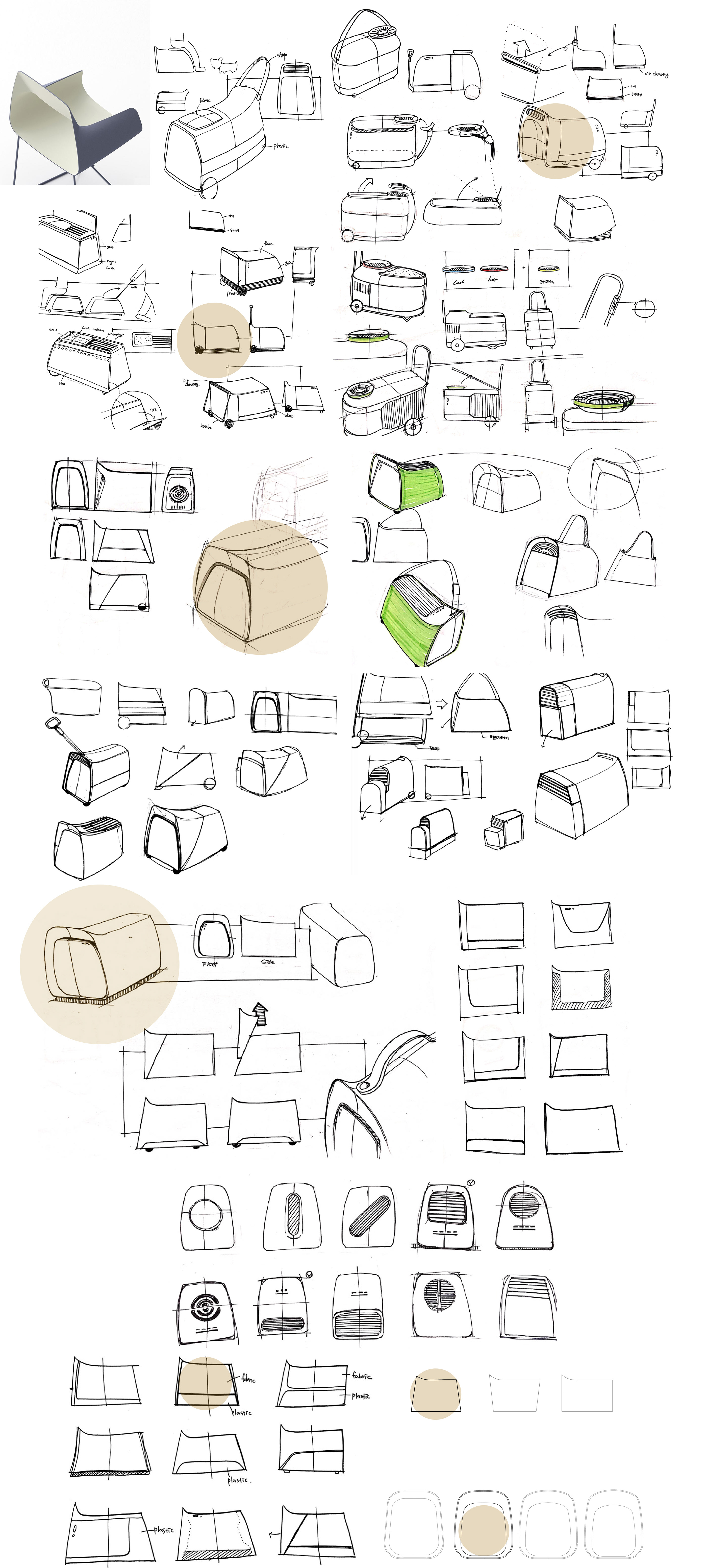 Satchel，Dog，travel，