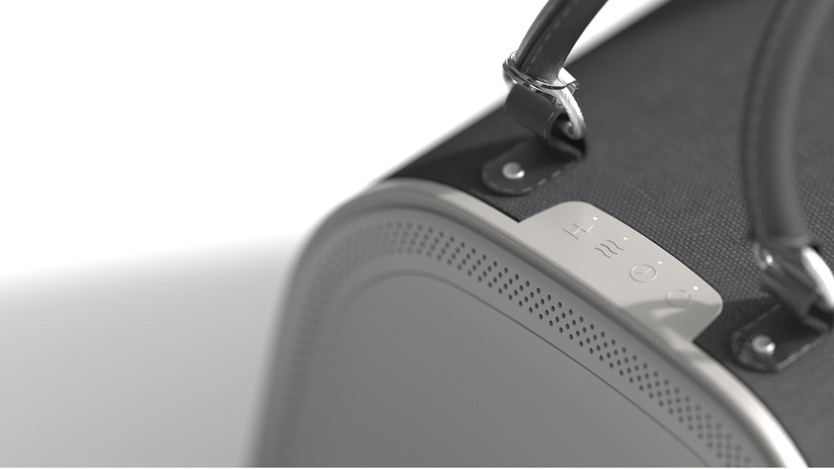 Satchel，Dog，travel，