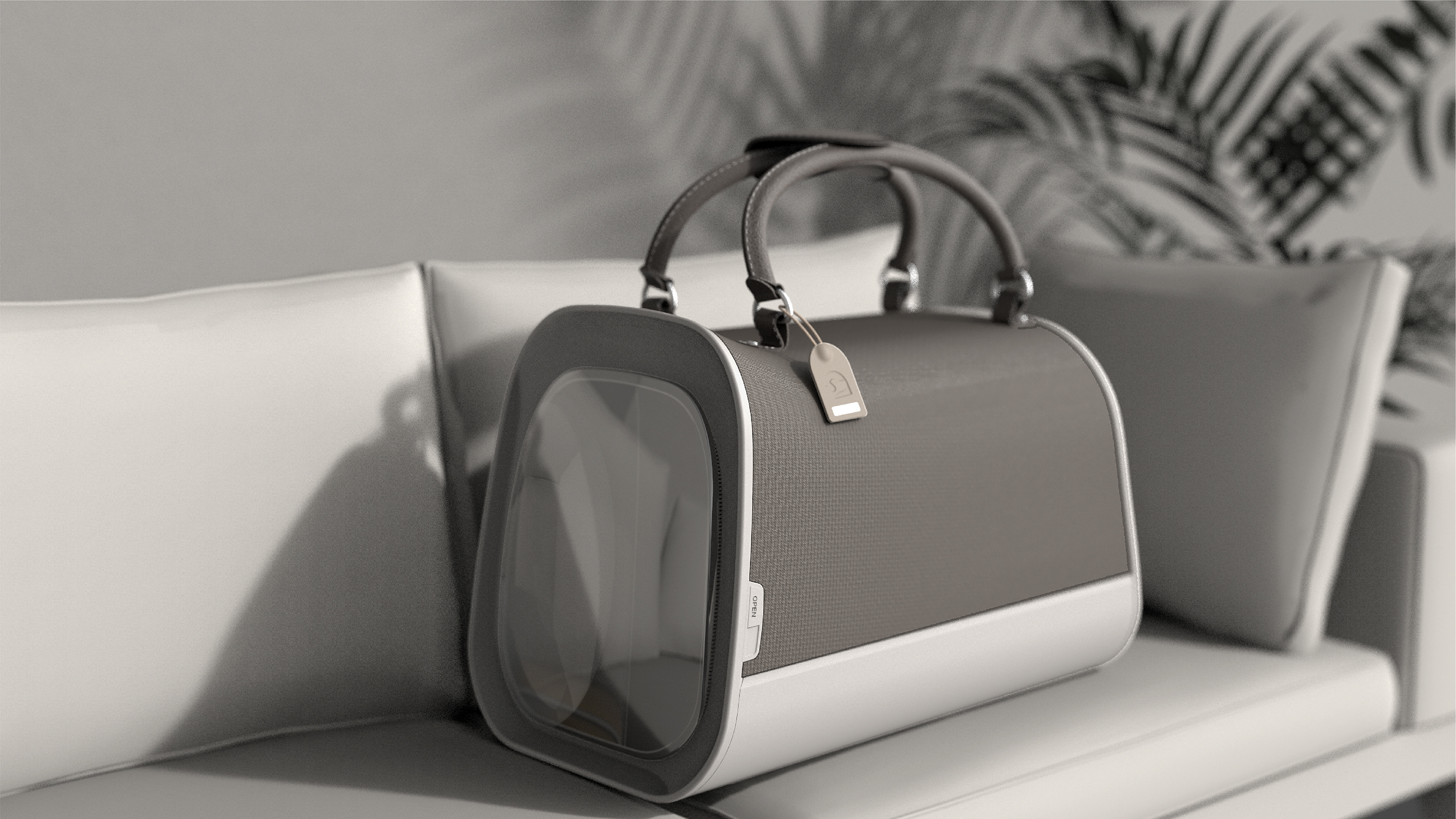 Satchel，Dog，travel，