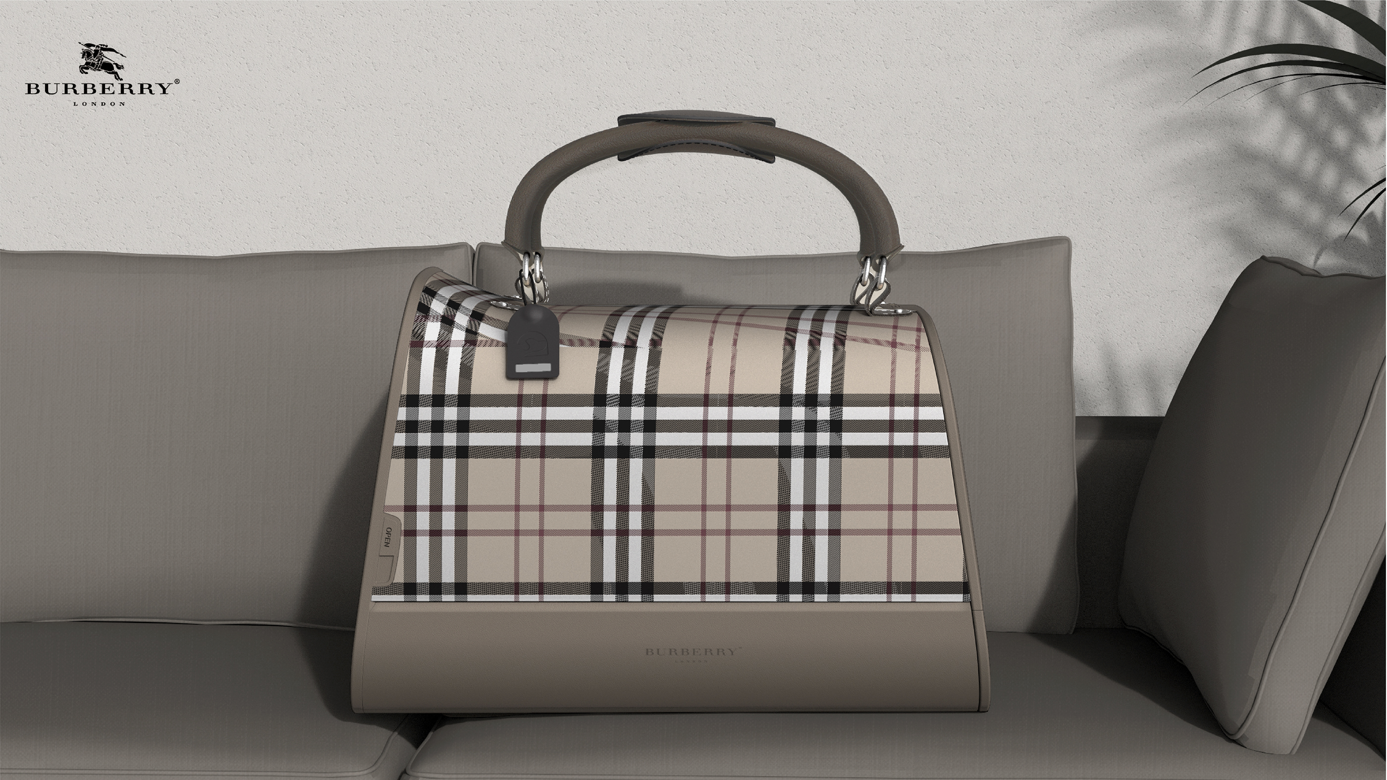 Satchel，Dog，travel，