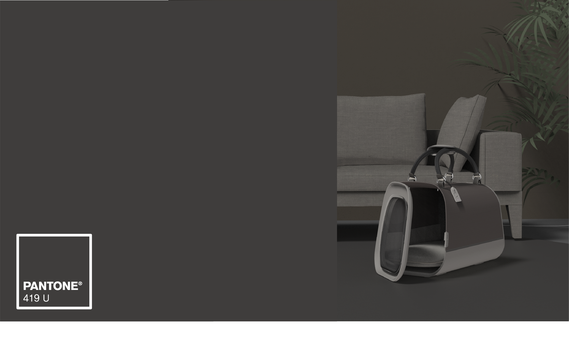 Satchel，Dog，travel，