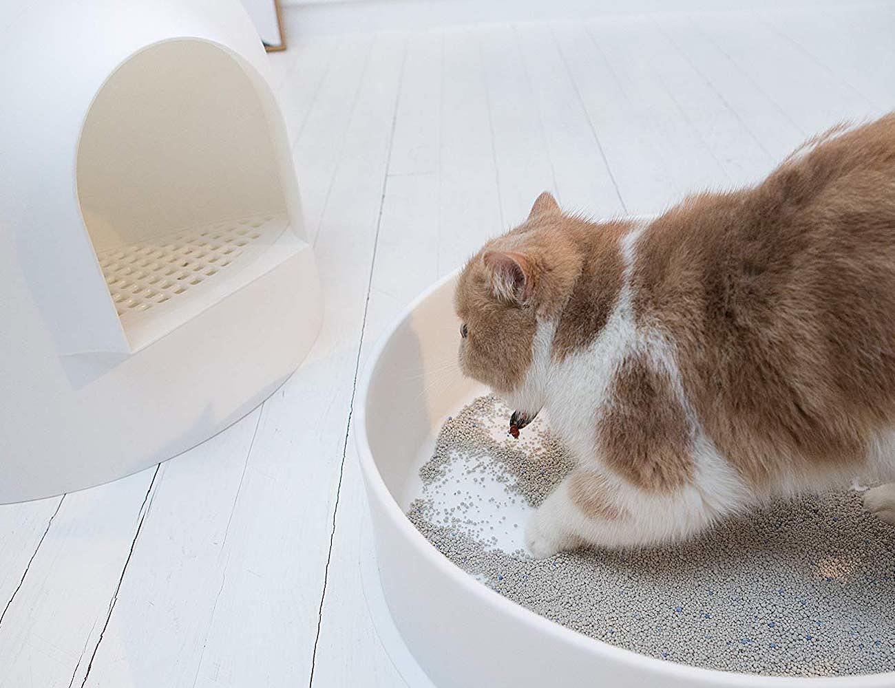 product design，Pet Supplies & Pet，Litter Basin，Pidan Snow，