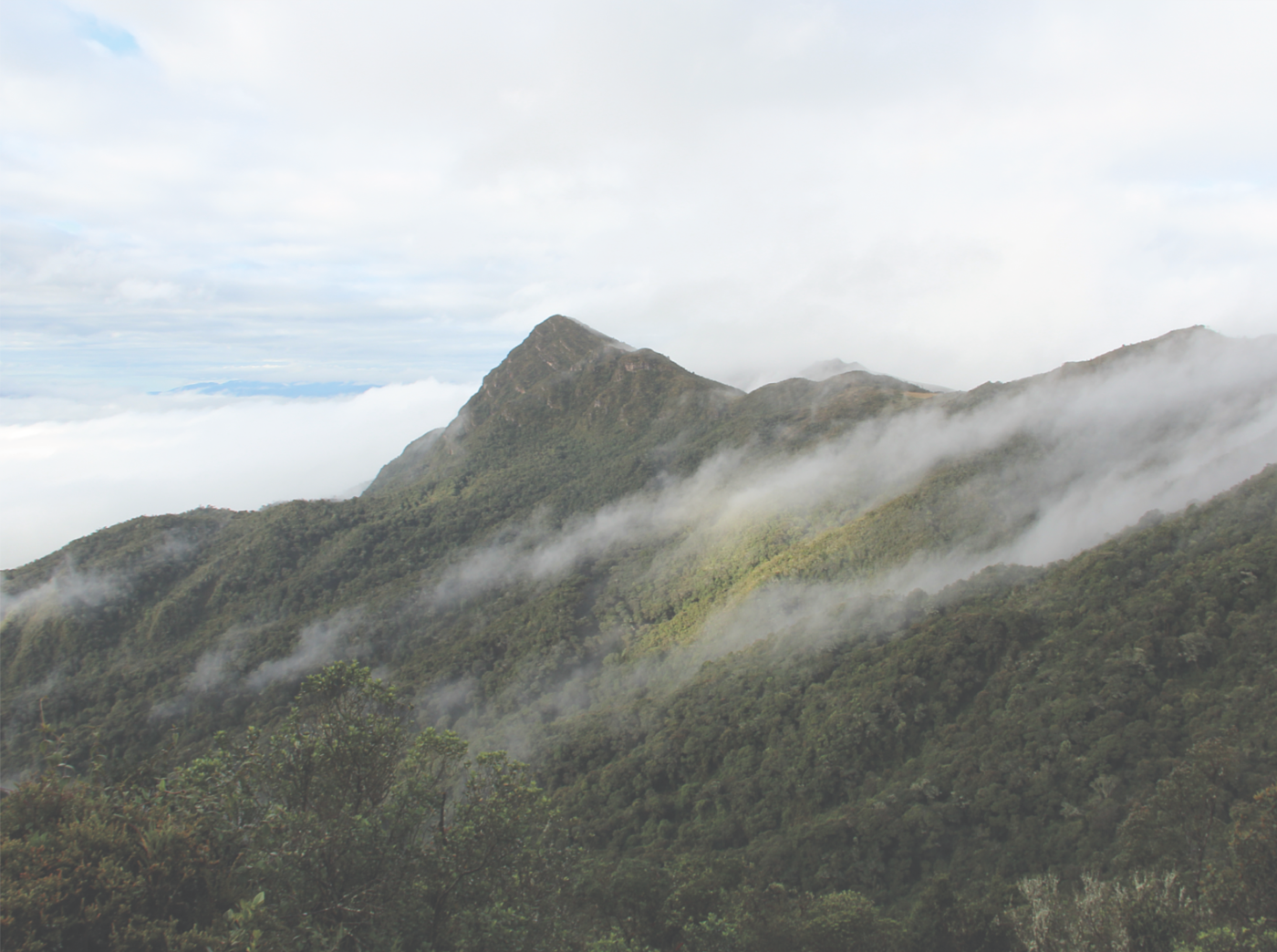 ANDES，拱形，山脉，承载，