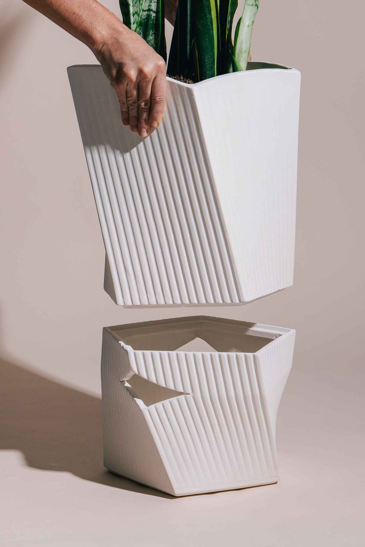 Carmen，Flowerpot，No Barcelona，