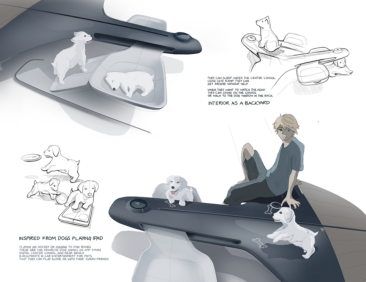 game，entertainment，VOLKSWAGEN PUP，Pets，Interior，automobile，can round，
