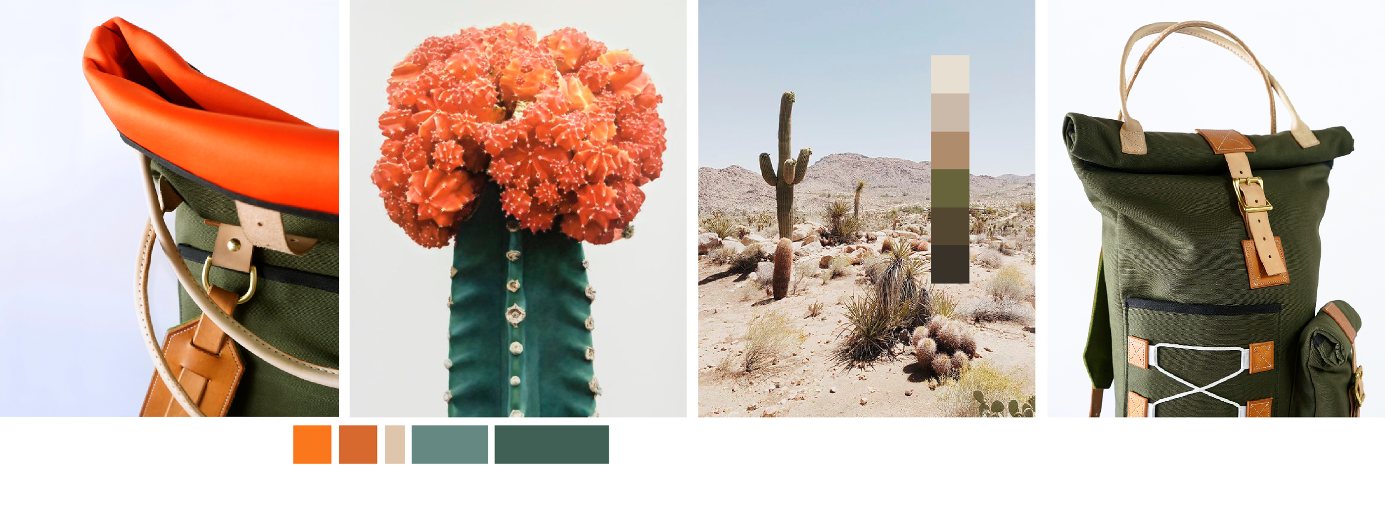 knapsack，desert，luxury，