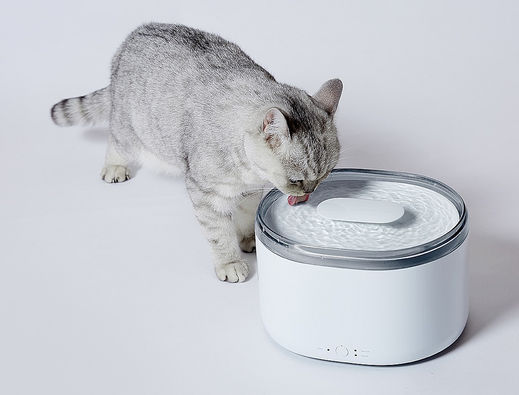 Water dispenser，Pets，cat，