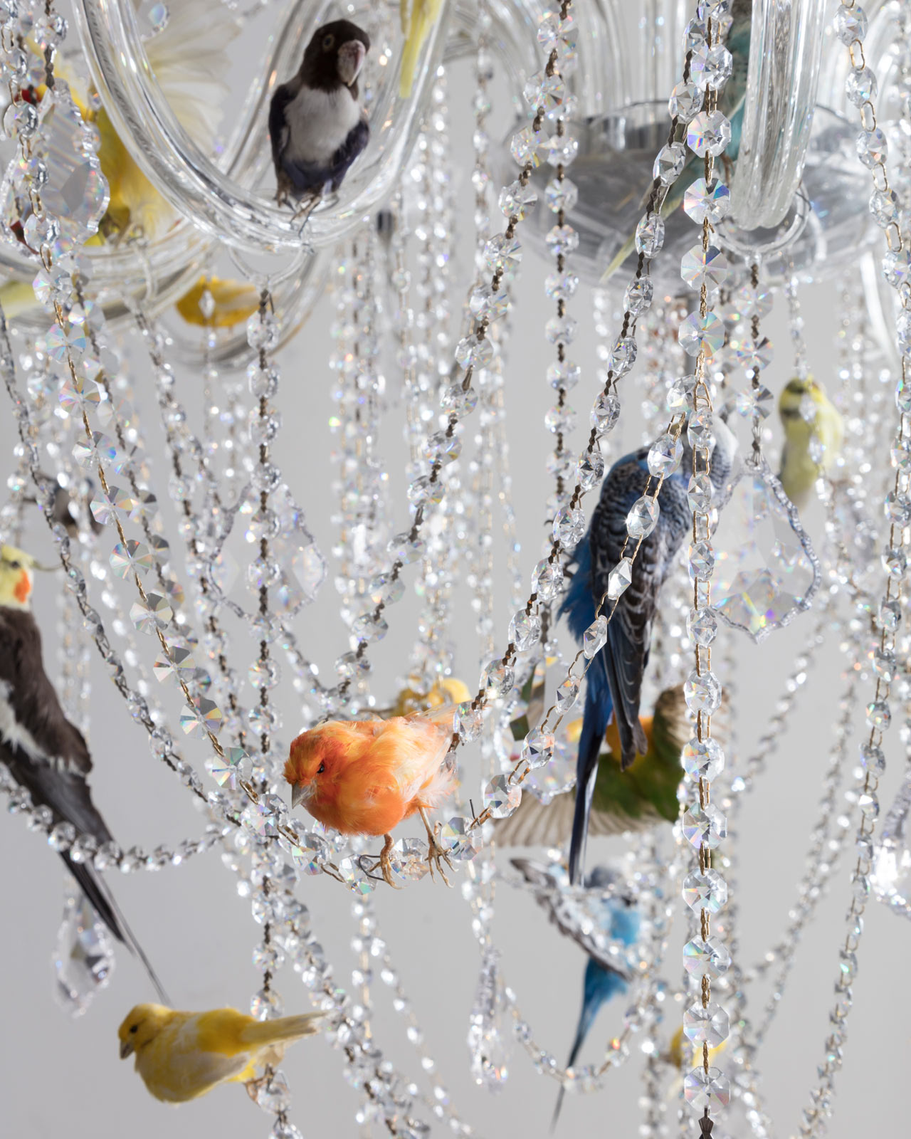 Bookcase，woodiness，furniture design ，