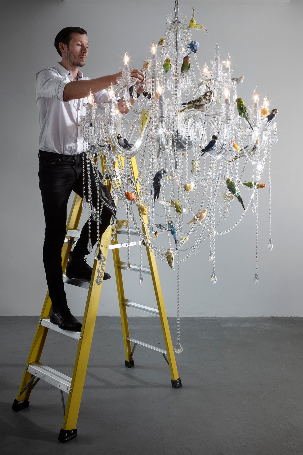 Bookcase，woodiness，furniture design ，