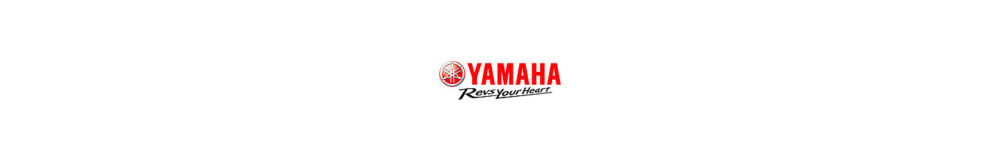 Electric vehicle，Yamaha，YAMAHA GLORIOUS，