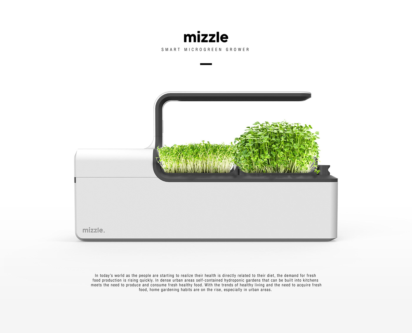 Red dot award，Grow vegetables，app，MIZZLE，Vegetables，