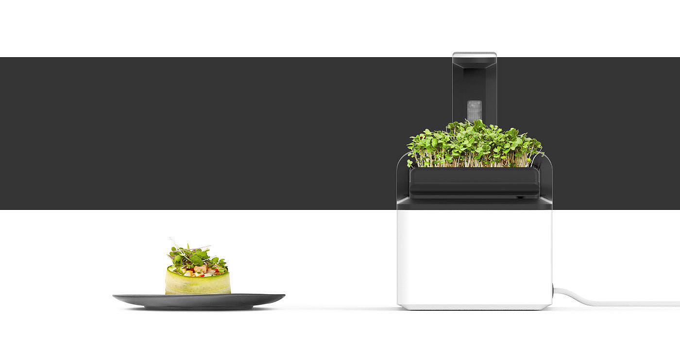 Red dot award，Grow vegetables，app，MIZZLE，Vegetables，