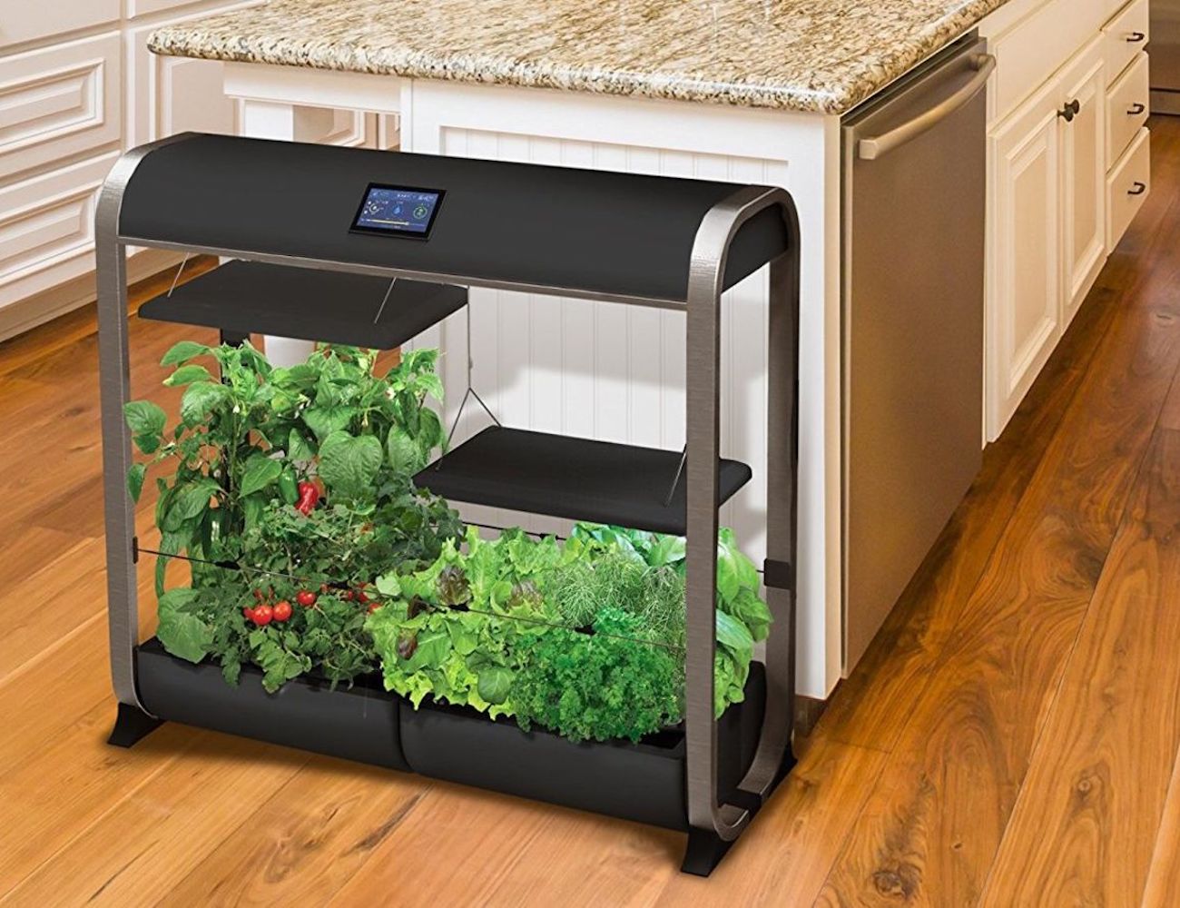 Farm Plus，wifi，Hydroponic culture，Botany，plant，AeroGarden，