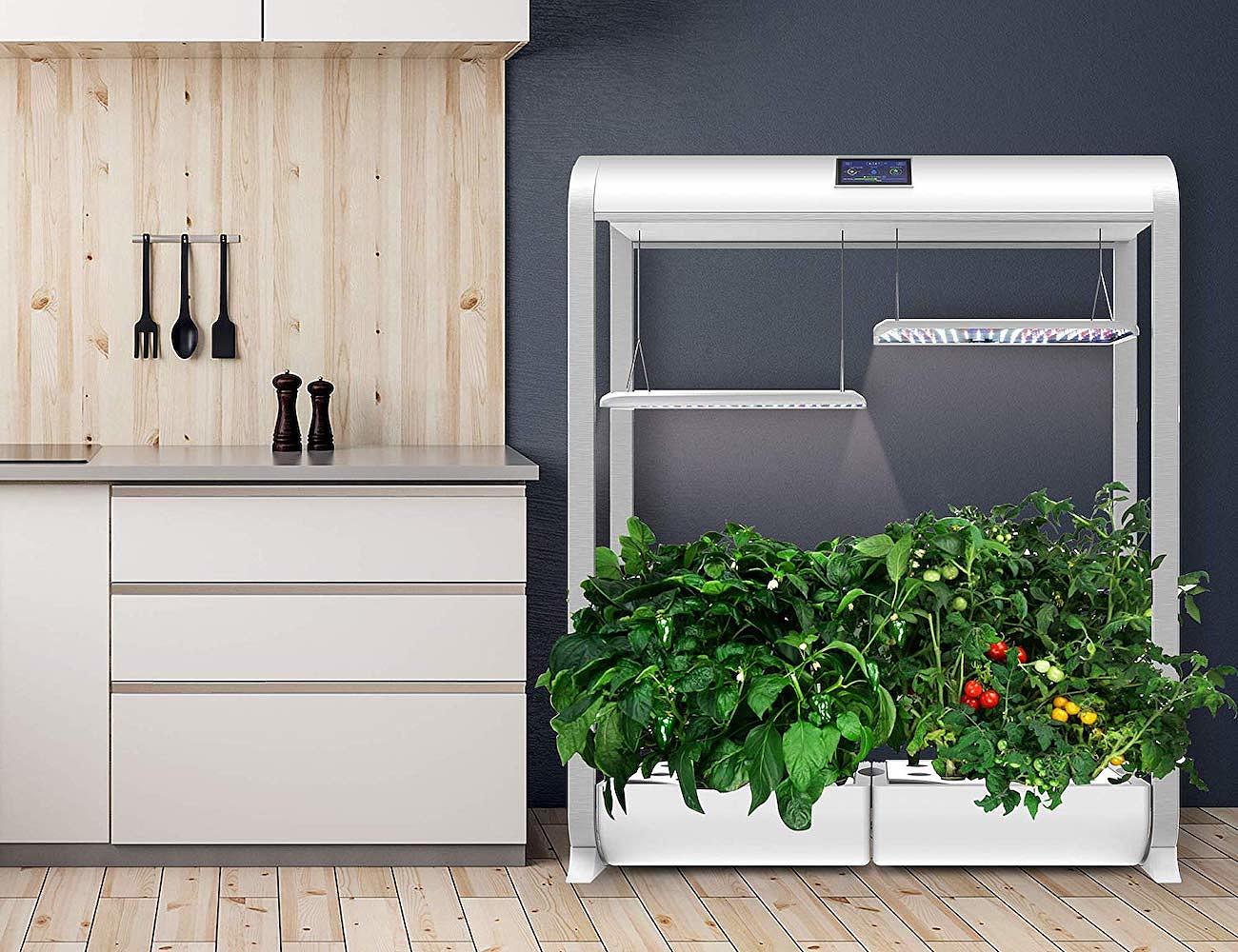 Farm Plus，wifi，Hydroponic culture，Botany，plant，AeroGarden，