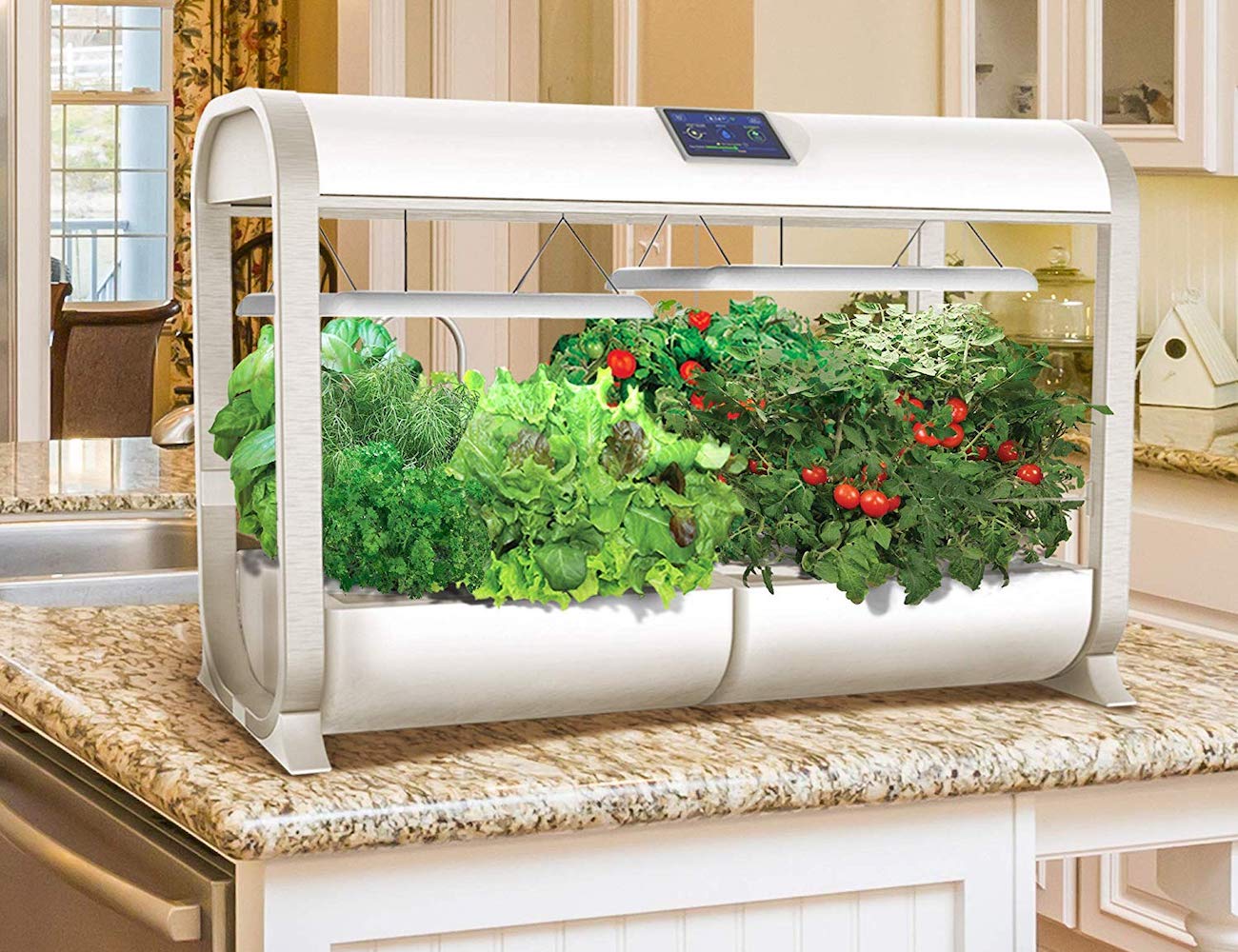 Farm Plus，wifi，Hydroponic culture，Botany，plant，AeroGarden，