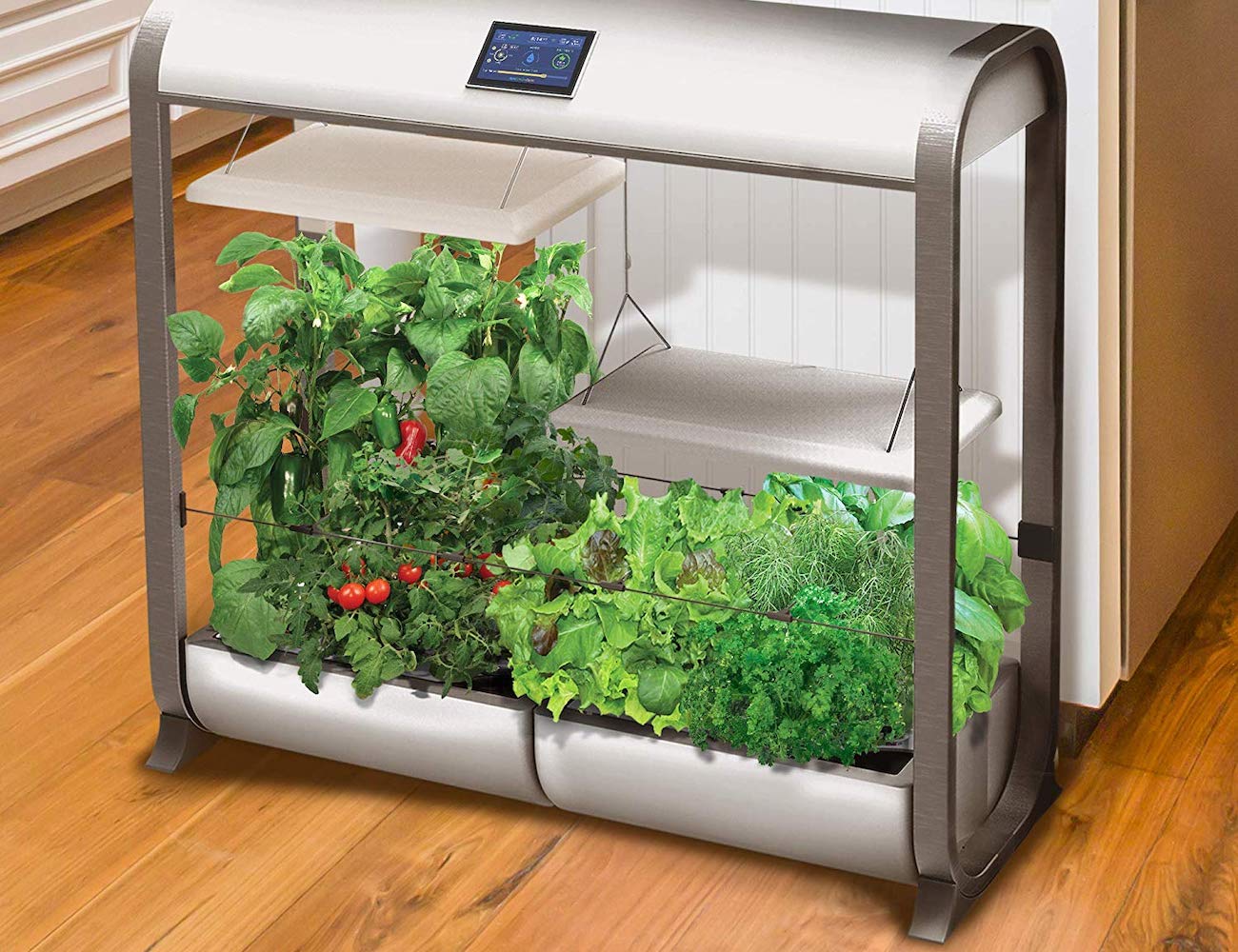 Farm Plus，wifi，Hydroponic culture，Botany，plant，AeroGarden，
