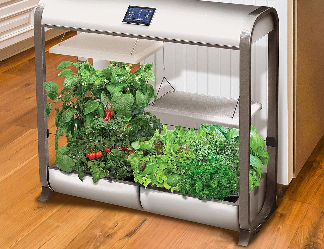 Farm Plus，wifi，水培，植物，种植，AeroGarden，