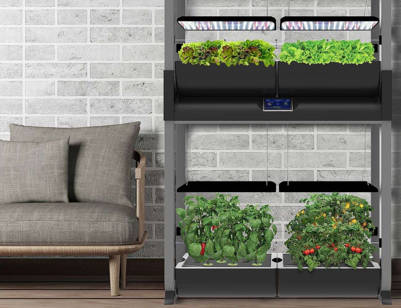 Farm Plus，wifi，Hydroponic culture，Botany，plant，AeroGarden，