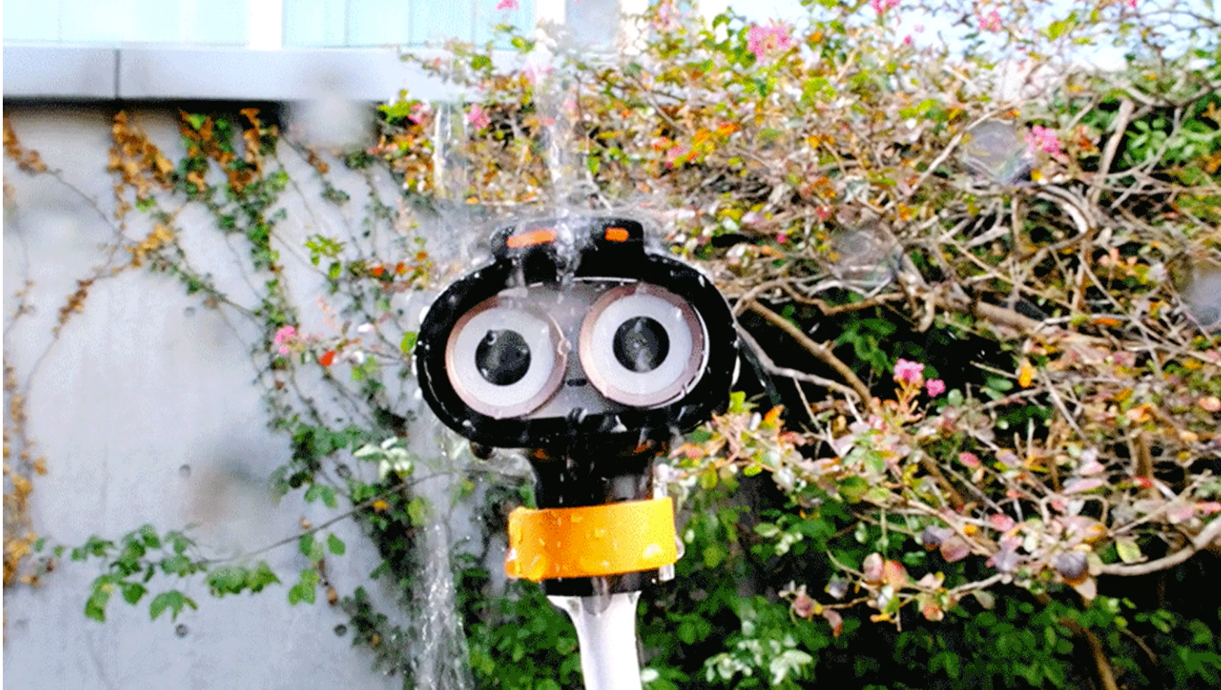 flexibility，camera，Oppy，