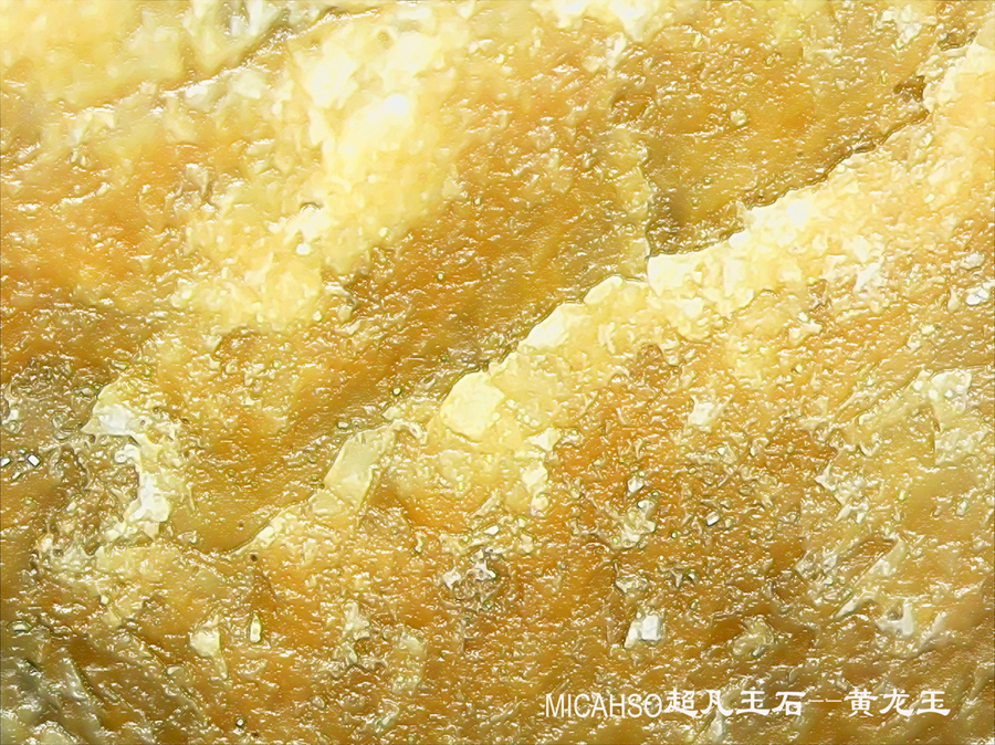 Michso 2018 contemporary，