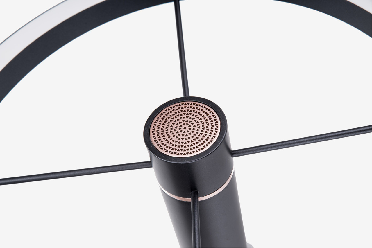 Napal DAL，a chandelier，lighting，