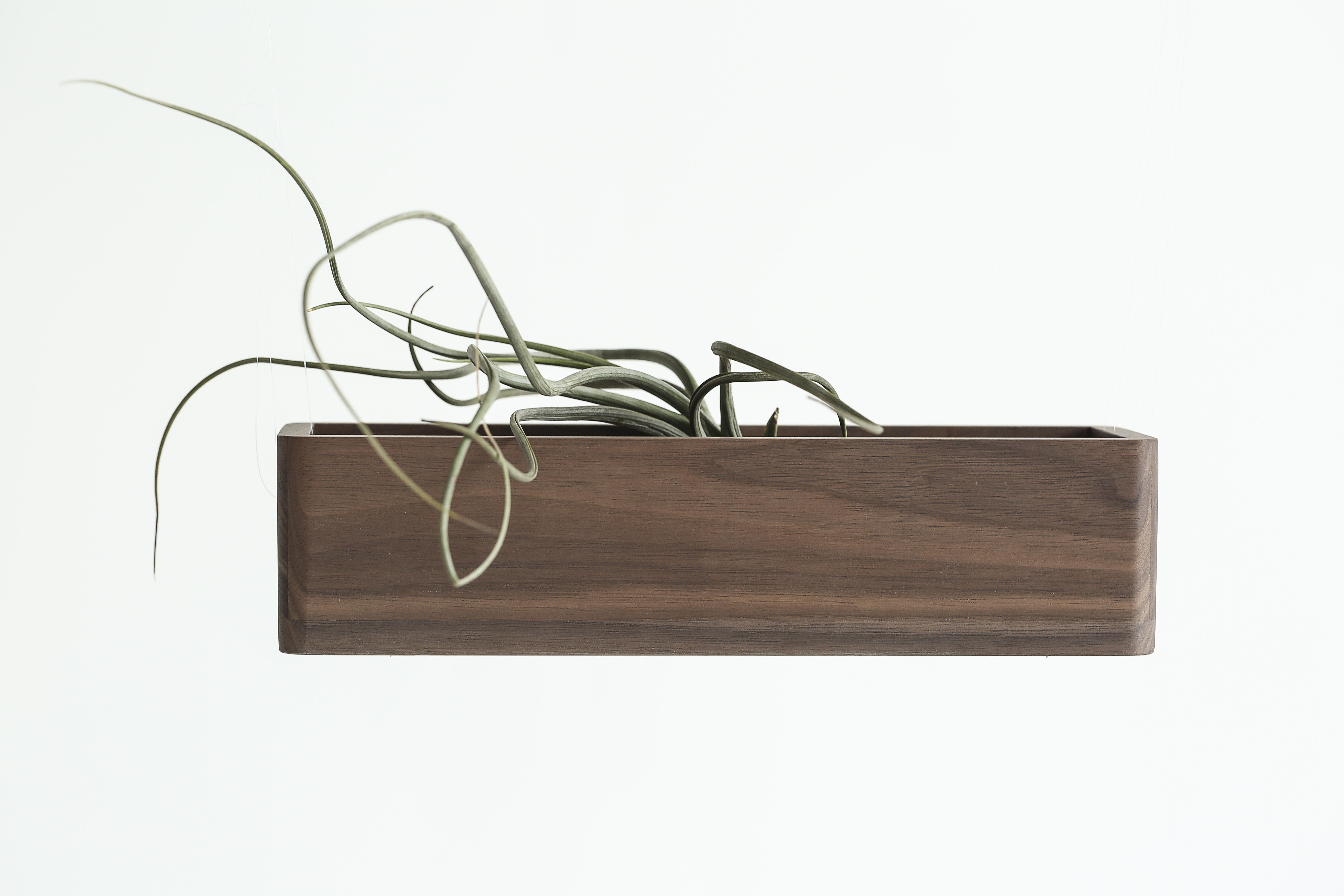 Furniture designer Ren Mengying，