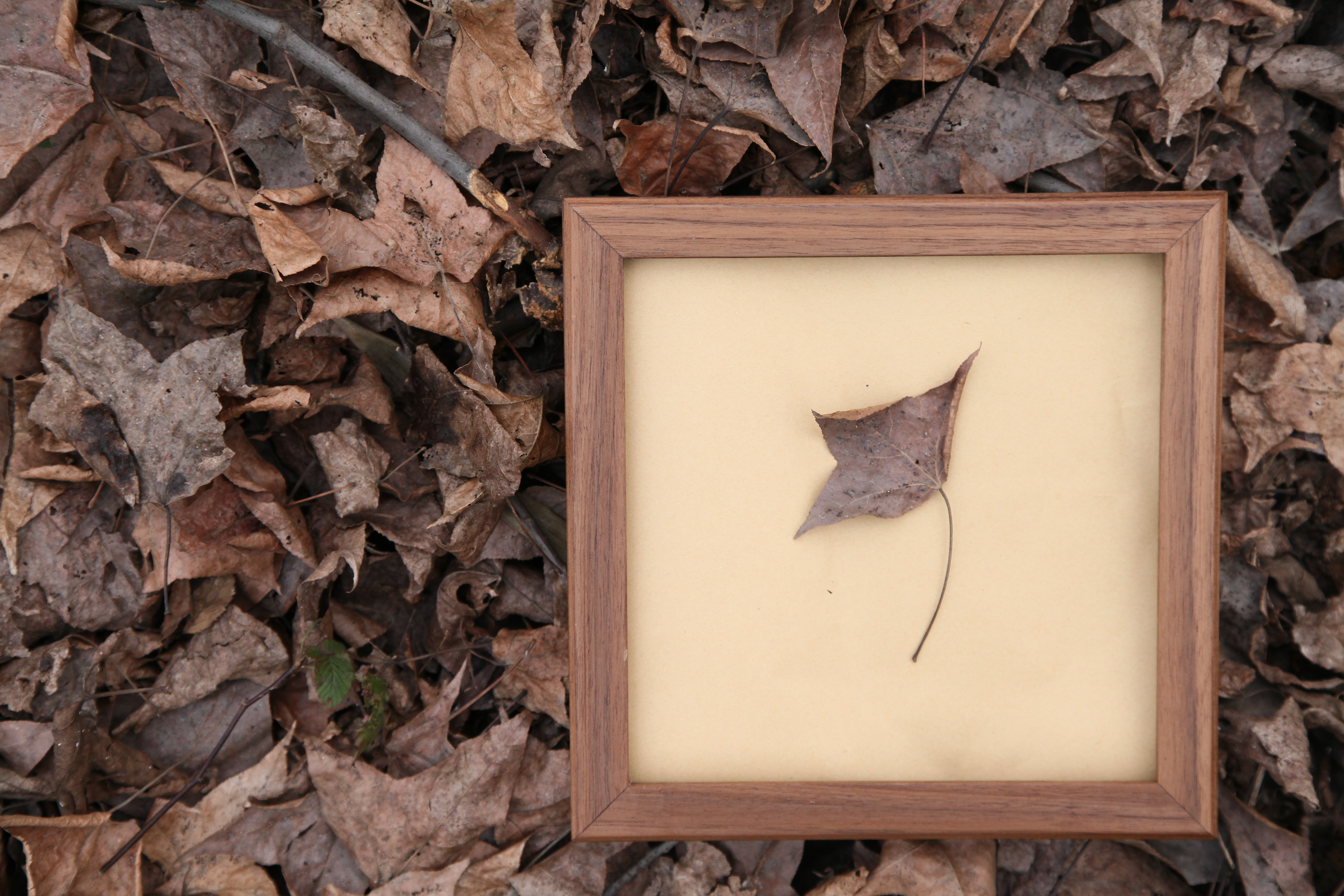 Furniture designer Ren Mengying，