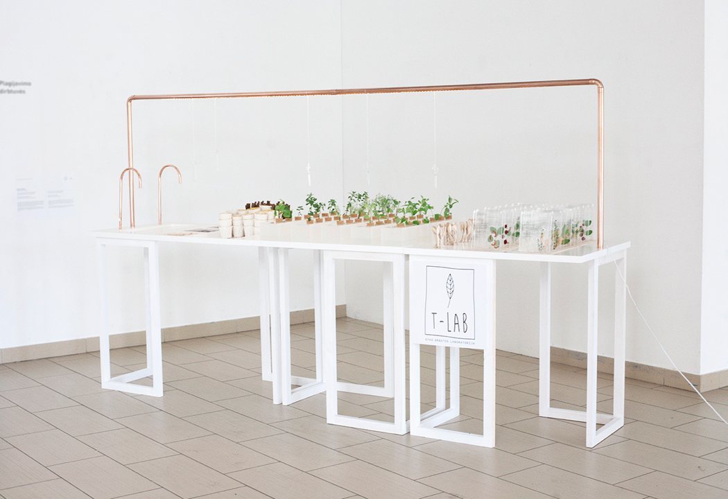 plant，healthy，tradition，natural，